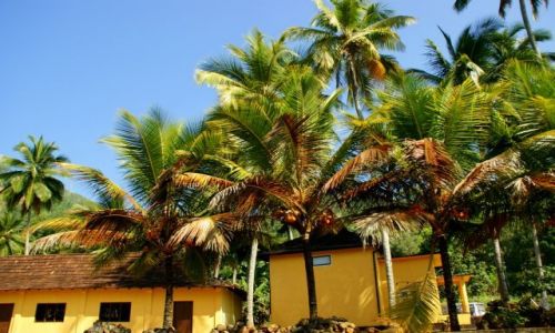 Zdjęcie SRI LANKA / Kendy / Kendy / Bungalow
