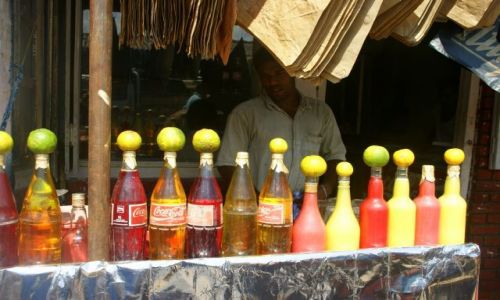 Zdjęcie SRI LANKA / Nagambo / Nagambo / Prawie  coca