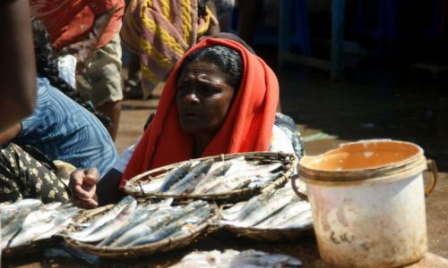 Zdjęcie SRI LANKA / Nagambo / Nagambo / Rybke sprzeda