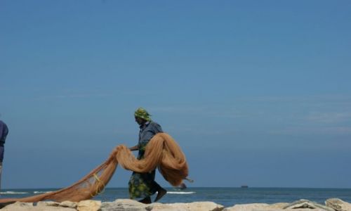 Zdjęcie SRI LANKA / Nagmbo / Nagmbo / Rybak