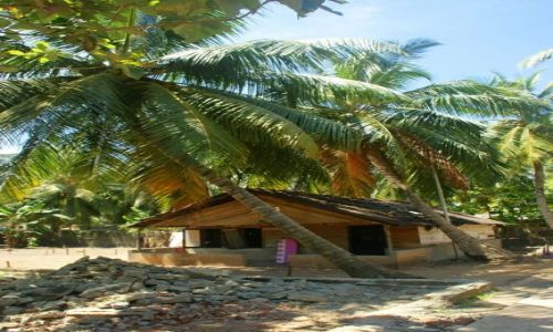Zdjęcie SRI LANKA / Nagmbo / Nagmbo / Chata