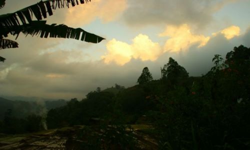 Zdjęcie SRI LANKA / Jella / Jella / Zmierzch
