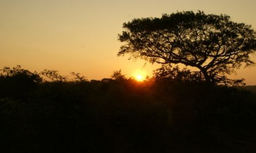 Zdjecie SRI LANKA / Jella / Jella / Zachud