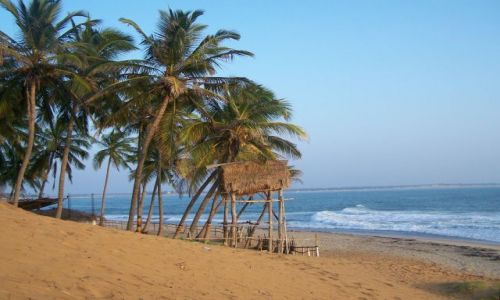 Zdjecie SRI LANKA / zachodnie wybrzee / Arugam Bay / Poranek w Arugam Bay