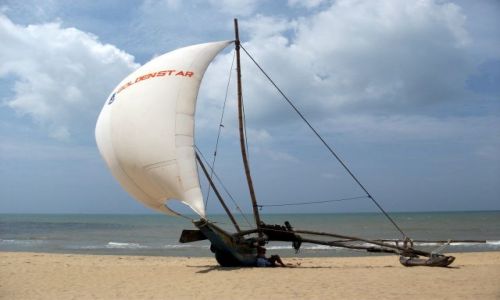 Zdjcie SRI LANKA / Negombo / Negombo / ... cigle pod aglami ...
