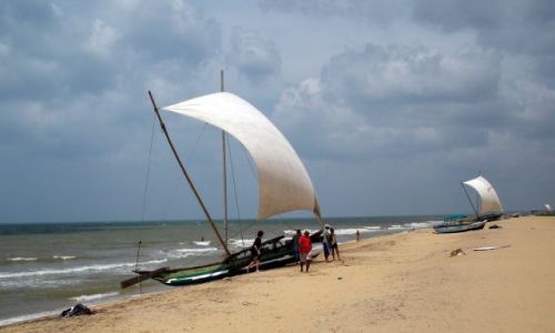 Zdjcie SRI LANKA / Negombo / Negombo / ... na brzegu ...