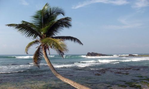 Zdjecie SRI LANKA / ... poudniowa cz wyspy ... / ... gdzie pomidzy Galle a Matar... / ... morze wciga ....