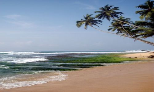 Zdjecie SRI LANKA / ... poudniowa cz wyspy ... / ... gdzie pomidzy Galle a Matar... / ... kolory ...