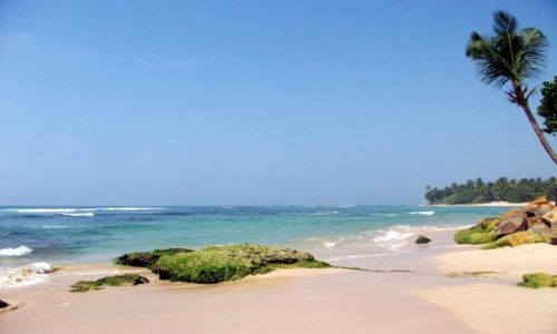 Zdjecie SRI LANKA / ... poudniowa cz wyspy ... / ... gdzie pomidzy Galle a Matar... / ... trzy kolory ...