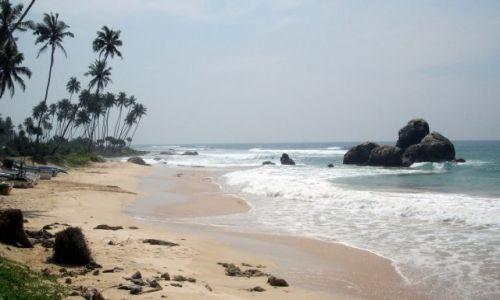 Zdjecie SRI LANKA / ... poudniowa cz wyspy ... / ... gdzie pomidzy Galle a Matar... / ... pod soce ...