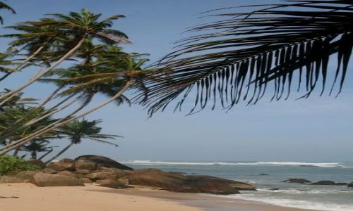 Zdjecie SRI LANKA / Matara / Madiha Beach / Playczka