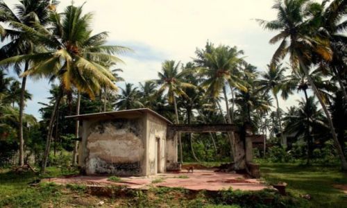 Zdjęcie SRI LANKA / Matara / Polhena / 6 lat po tsunami...