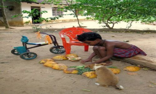 Zdjęcie SRI LANKA / - / Madiha / ...