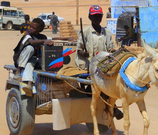 Zdjęcia: Karima, Karima, Radjo wiozę , SUDAN Zdjęcia: Karima, Karima, Radjo wiozę , SUDAN