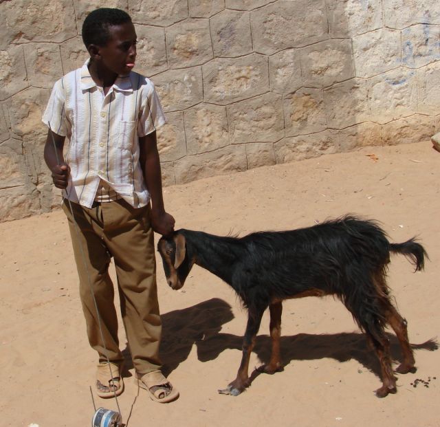 Zdjęcia: Wadim, Wadim, Zabawka, SUDAN Zdjęcia: Wadim, Wadim, Zabawka, SUDAN