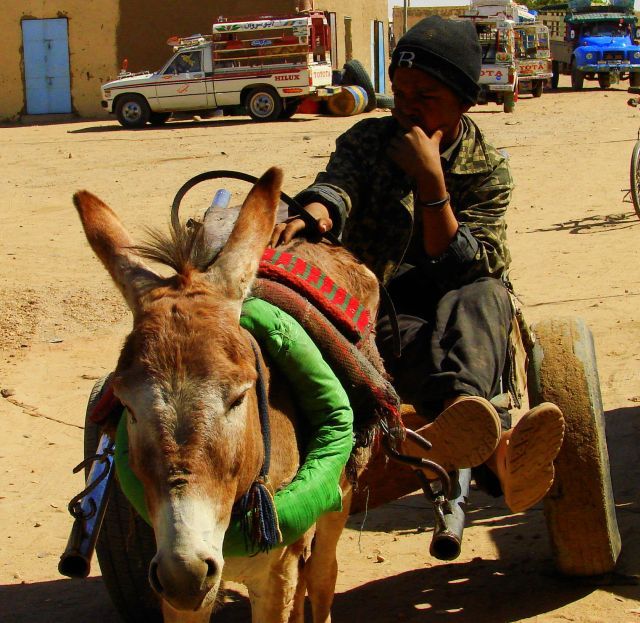 Zdjęcia: Wadim, Wadim, Kto osioł, SUDAN Zdjęcia: Wadim, Wadim, Kto osioł, SUDAN