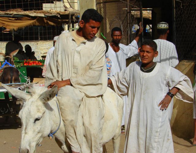 Zdjęcia: Wadin, Wadin, Rodzinka, SUDAN Zdjęcia: Wadin, Wadin, Rodzinka, SUDAN