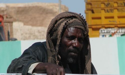 Zdjęcie SUDAN / Karima / karima / Zmęczony