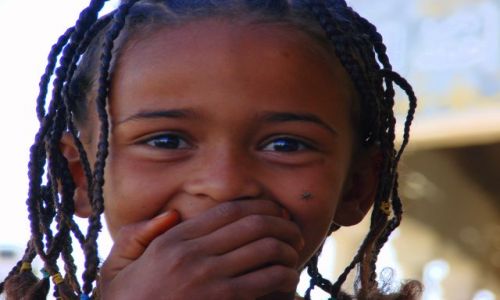 Zdjęcie SUDAN / Karima / Karima / Mucha