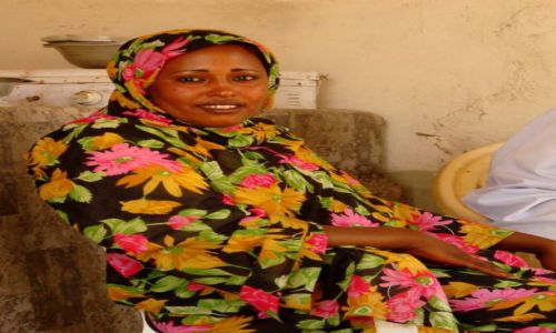 Zdjęcie SUDAN / Dongala / Dongala / Fajna