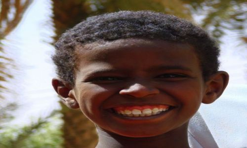 Zdjęcie SUDAN / Dongala / Dongala / Zgryz