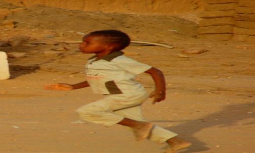 Zdjęcie SUDAN / Dongala / Dongala / Biegiem