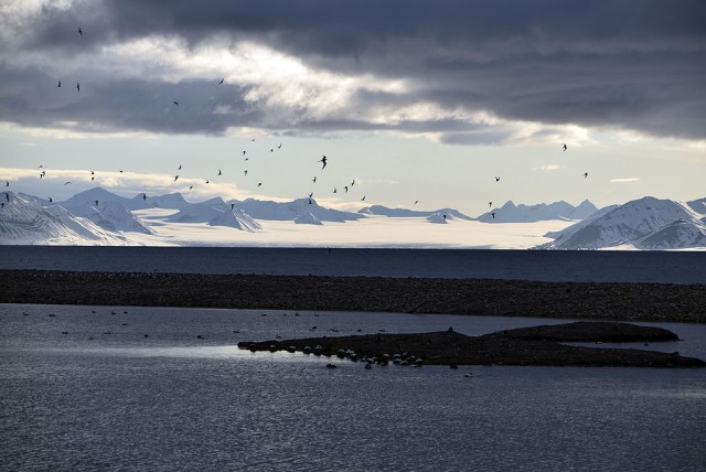 Zdj cia: Longyearbyen, Isfjorden, Svalbard, SVALBARD Zdj cia: Longyearbyen, Isfjorden, Svalbard, SVALBARD