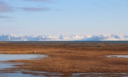 Zdjecie SVALBARD / Spitsbergen / Isfjorden / Spitsbergen 