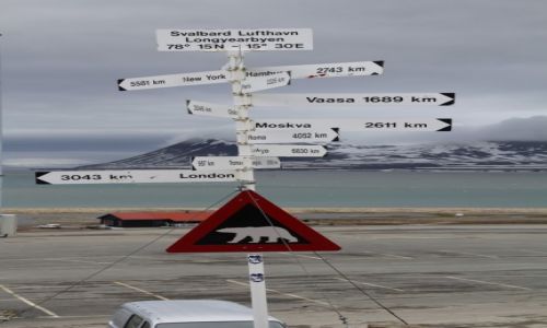 Zdjecie SVALBARD / Spitsbergen / Lotnisko Longyearbyen / Uwaga na miki 1