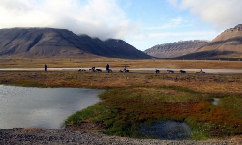 Zdjecie SVALBARD / Spitsbergen / Adventdalen / Adventdalen