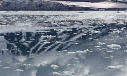 Zdjecie SVALBARD / Svalbard / Morze Barentsa / Pak lodowy