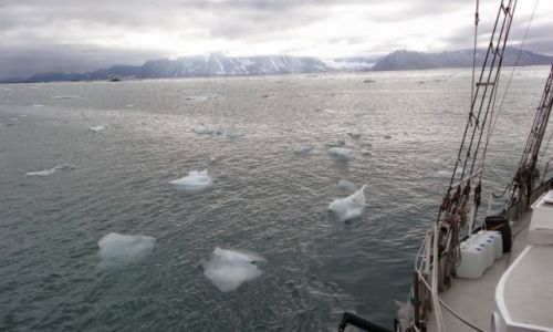 Zdjecie SVALBARD / Fjord Hornsund / Fjord Hornsund / Growlery na Morzu Barentsa
