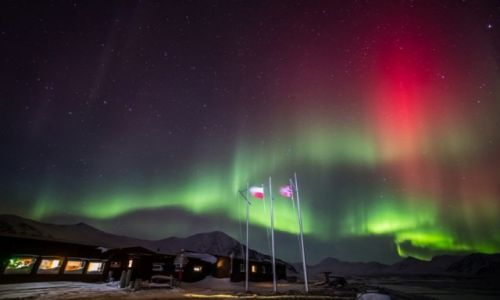 Zdjecie SVALBARD / Svalbard / Hornsund / Aurora Borealis