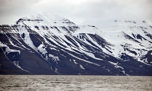 Zdjcie SVALBARD / Isfjorden / Isfjorden / Isfjorden
