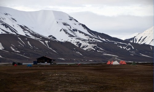 Zdjcie SVALBARD / Isfjorden / Longyearbyen / Longyearbyen Camping