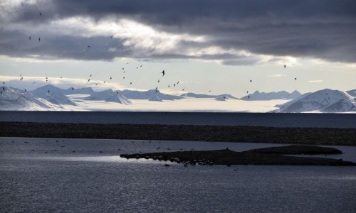 Zdjcie SVALBARD / Isfjorden / Longyearbyen / Svalbard