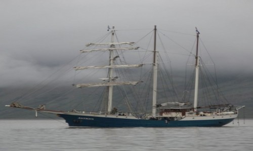 Zdjęcie SVALBARD / Szpicbergen / Longyearbyen / Antykwaryczny