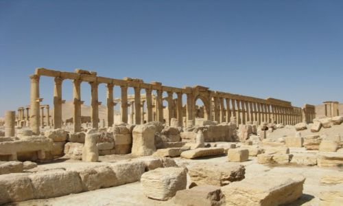 Zdjecie SYRIA / - / Palmyra / Palmyra 7