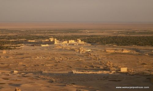 Zdjecie SYRIA / - / Palmyra / Palmyra