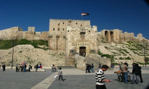 Zdjecie SYRIA / syria / syria / tydzie w syrii