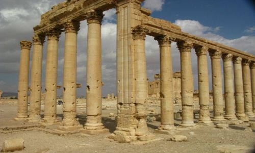 Zdjecie SYRIA / syria / palmyra / tydzie w syrii