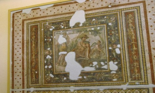 Zdjęcie TURCJA / - / Antiochia / muzeum mozaik