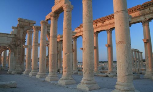 Zdjcie SYRIA / brak / Palmyra / Palmyra o poranku