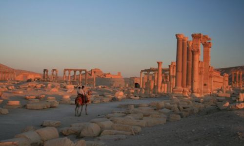 Zdjcie SYRIA / brak / Palmyra / Palmyra o poranku