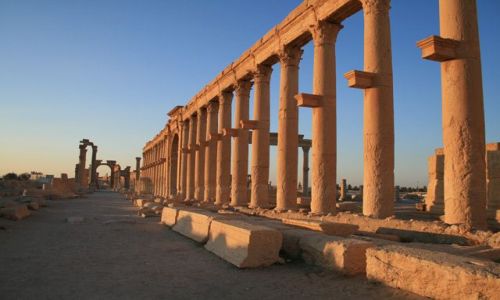 Zdjcie SYRIA / brak / Palmyra / Palmyra o poranku