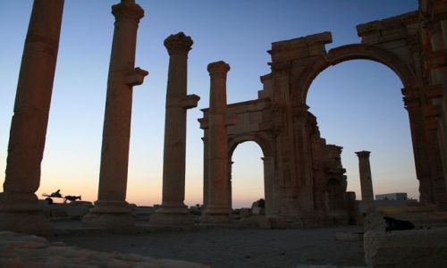 Zdjecie SYRIA / brak / Palmyra / Palmyra o świcie