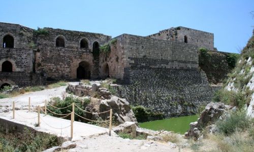 Zdjęcie SYRIA / brak / Krak des Chevaliers / Krak des Chevaliers