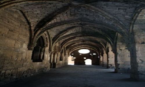 Zdjęcie SYRIA / brak / Krak des Chevaliers / Krak des Chevaliers