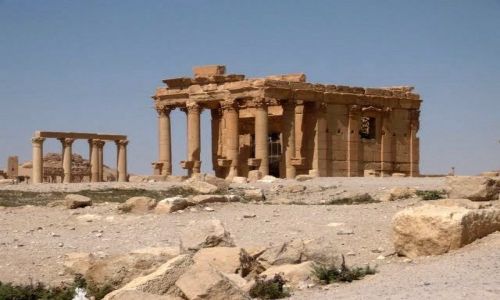 Zdjecie SYRIA / brak / Palmira / Staroytne miasto