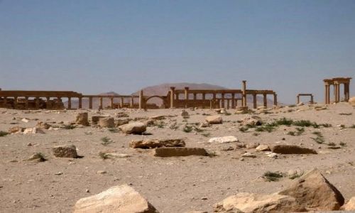 Zdjecie SYRIA / brak / Palmira / Staroytne miasto